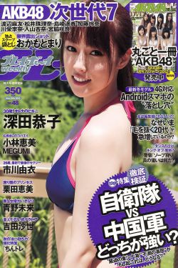 观鹤笔记